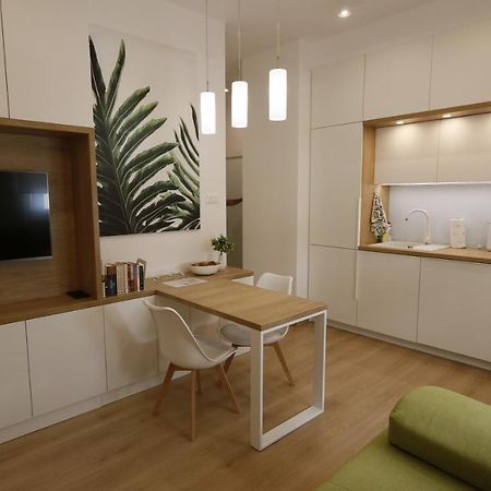 Apartment Ana, Vracar, Belgrad Zewnętrze zdjęcie
