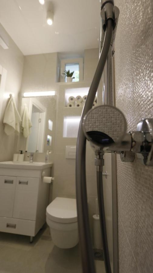 Apartment Ana, Vracar, Belgrad Zewnętrze zdjęcie