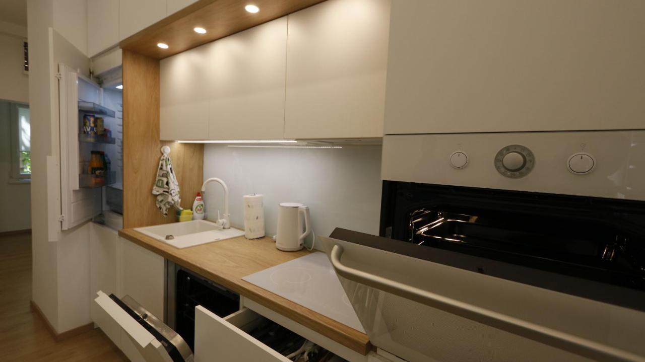 Apartment Ana, Vracar, Belgrad Zewnętrze zdjęcie