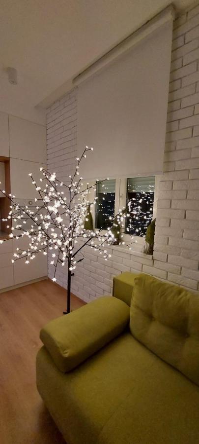 Apartment Ana, Vracar, Belgrad Zewnętrze zdjęcie